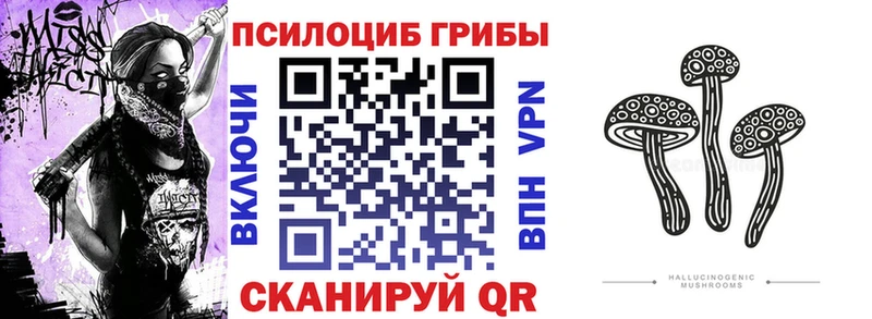 Купить где  Благовещенск  Галлюциногенные грибы прущие грибы 